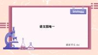 人教部編版一年級(jí)上冊(cè)語(yǔ)文園地一教課內(nèi)容課件ppt