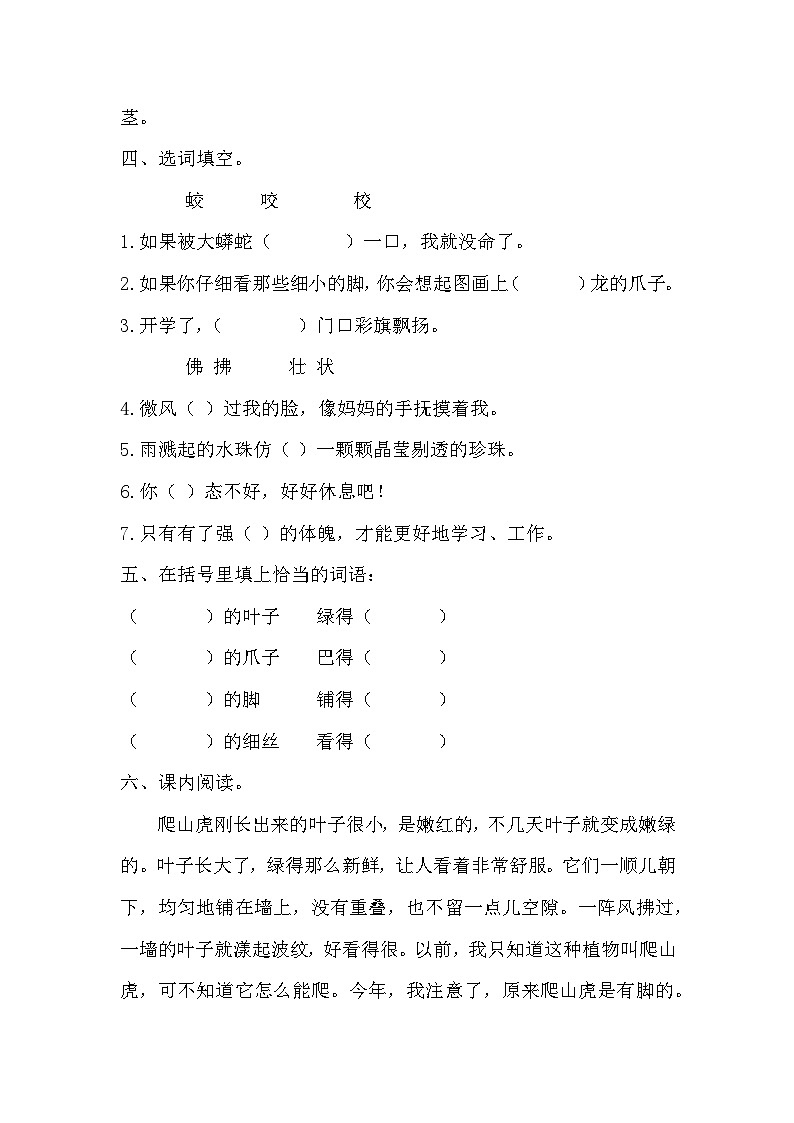 部编版语文四年级上册 10 爬山虎的脚 同步练习(无答案)第2页
