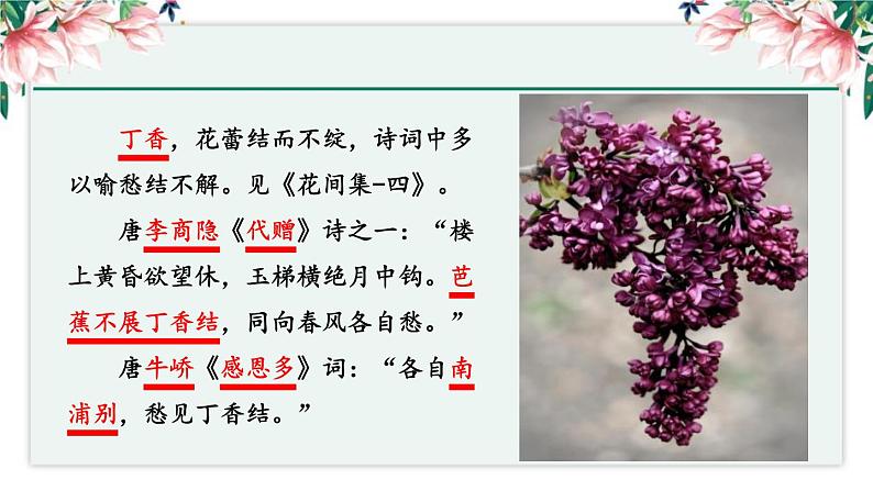丁香结PPT课件404