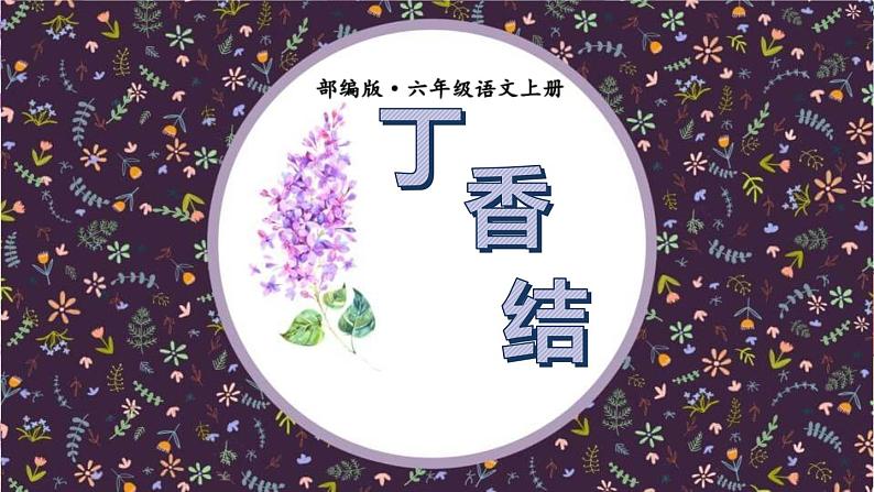 丁香结PPT课件801