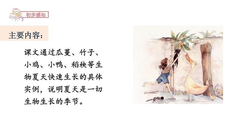 夏天里的成长PPT课件7第6页