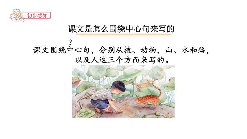 夏天里的成长PPT课件7第8页