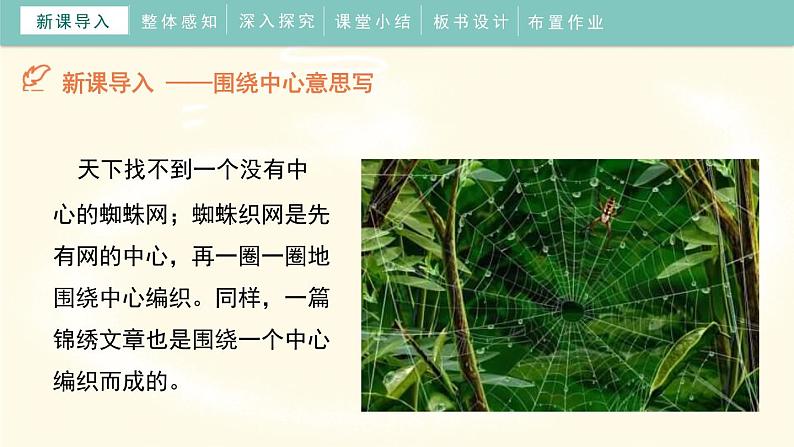 围绕中心意思写PPT课件604