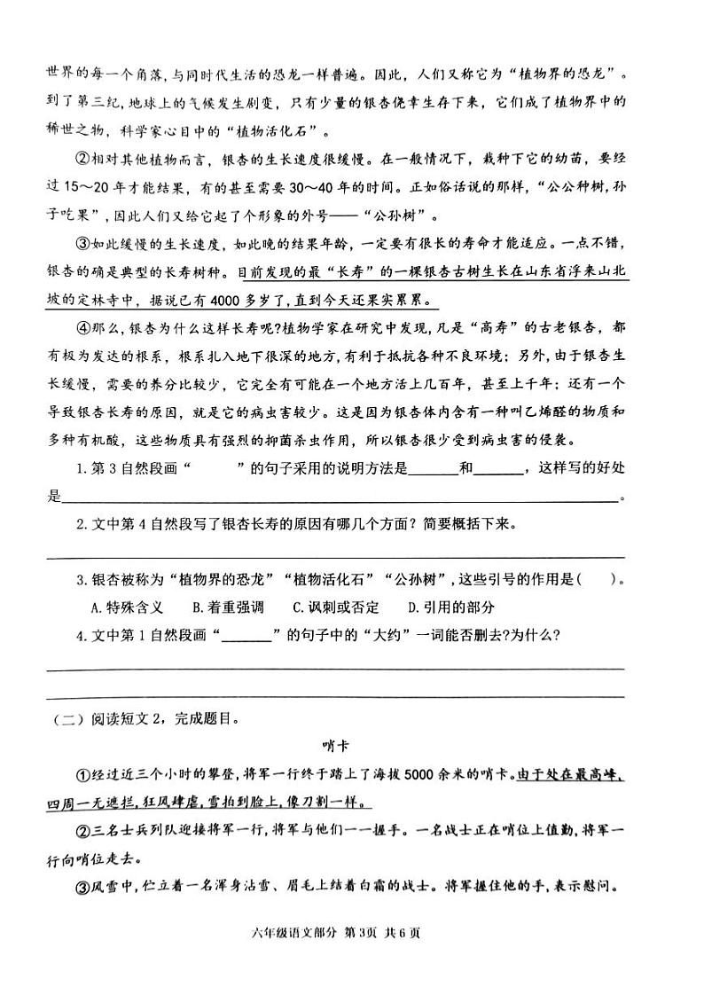 山东省枣庄市滕州市2023-2024学年六年级上学期期中阶段性测试语文试题第3页