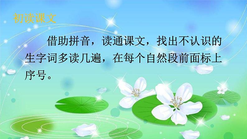 13 荷叶圆圆 课件第4页