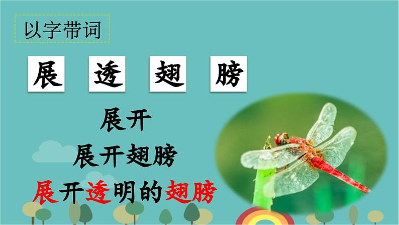 部编版语文一年级下册 13 荷叶圆圆 课件第8页