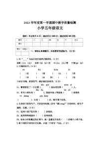 河北省邢台市2023-2024学年五年级上学期期中语文试卷