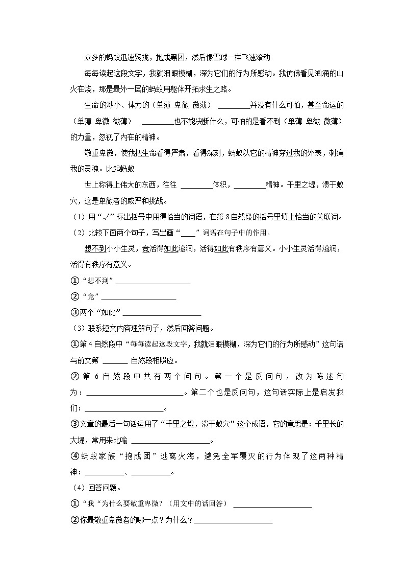 21,山东省临沂市莒南县2022-2023学年五年级上学期期末语文试卷第3页
