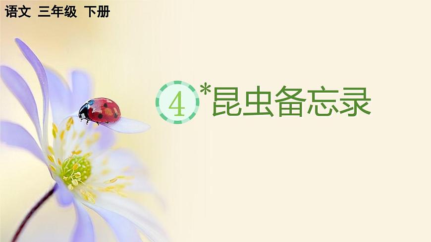 部編版小學(xué)語文三年級(jí)下冊(cè)  4昆蟲備忘錄  課件第1頁