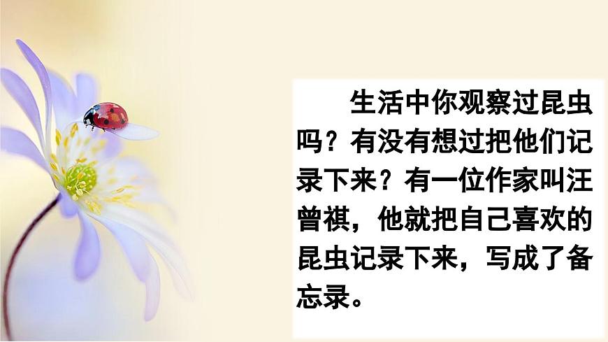 部編版小學(xué)語文三年級(jí)下冊(cè)  4昆蟲備忘錄  課件第2頁
