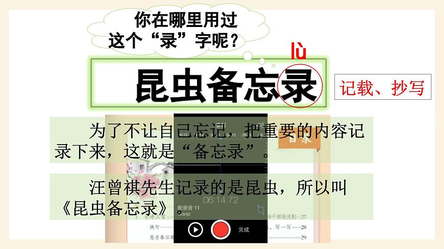 部編版小學(xué)語文三年級(jí)下冊(cè)  4昆蟲備忘錄  課件第4頁