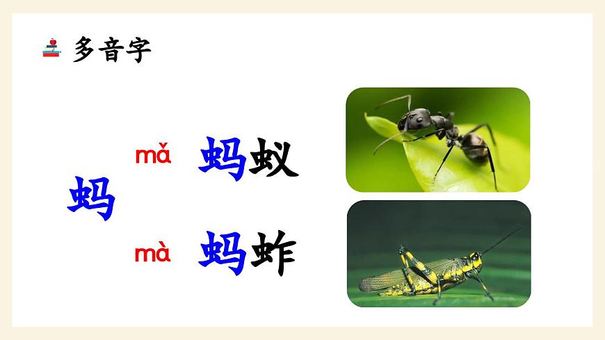 部編版小學(xué)語文三年級(jí)下冊(cè)  4昆蟲備忘錄  課件第7頁