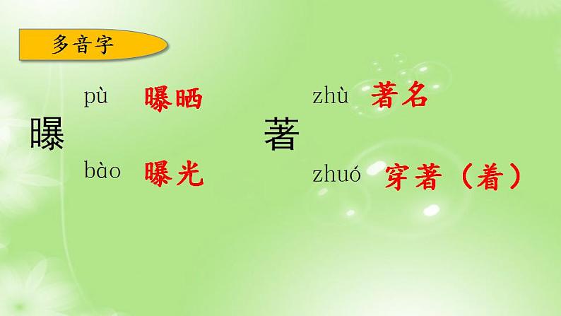 7、第七单元 知识梳理+巩固练习(课件)2023学年 五年级语文上册期中期末复习专题06