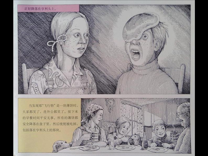 【作】《阴天有时下肉丸》课件PPT第5页