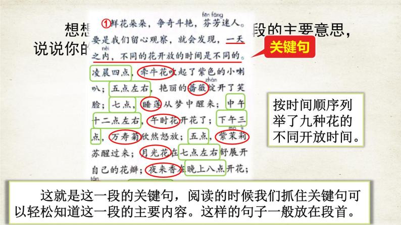 【核心素养】部编版小学语文三年级下册 13 花钟  课件+教案+同步练习（含教学反思）08