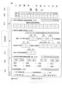 河南省周口市项城市2023-2024学年二年级上学期11月期中语文试题