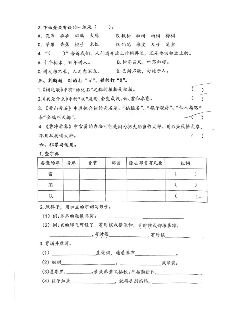 福建省厦门实验小学2023-2024学年二年级上学期期中语文试卷02