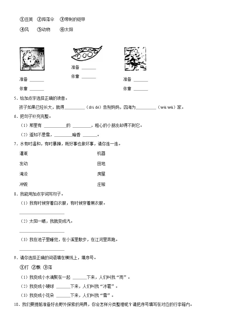 海南省海口市2023-2024学年二年级上学期期中测试语文试卷02