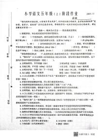 江苏省泰州市兴化市2023-2024学年五年级上学期期中阶段作业语文试卷
