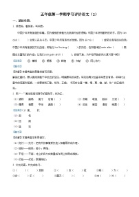 2023-2024学年安徽省宿州市部编版五年级上册期中考试语文试卷（解析版）