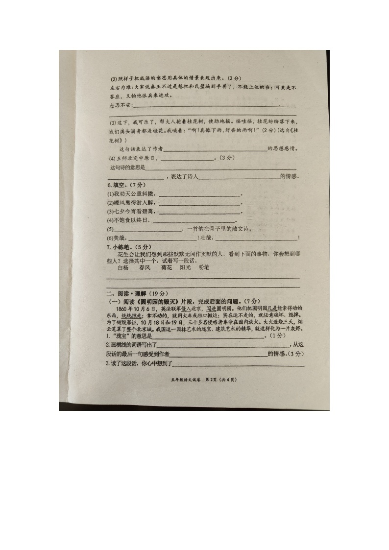 广西壮族自治区梧州市藤县2023-2024学年五年级上学期期中阶段性练习语文试卷02