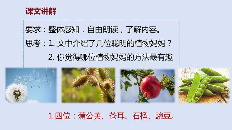 部编版二年级语文上册课件 第一单元 课文3《植物妈妈有办法》07