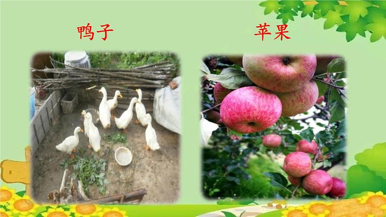 统编版语文一年级上册 7.大小多少课件03