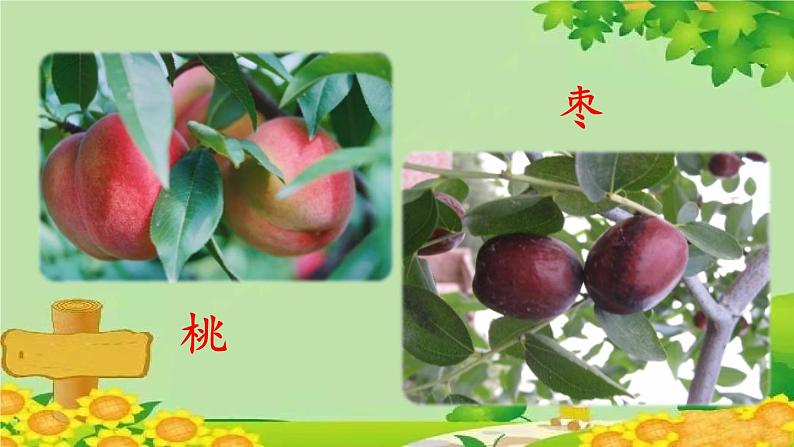统编版语文一年级上册 7.大小多少课件04