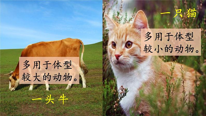 统编版语文一年级上册 7.大小多少课件06