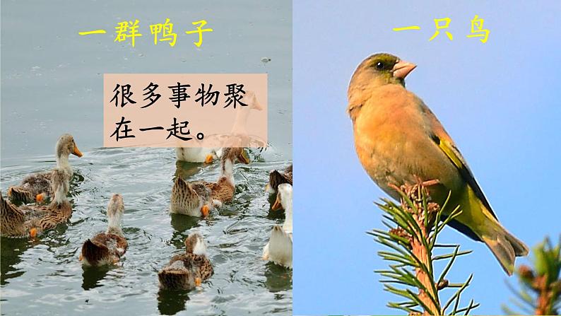 统编版语文一年级上册 7.大小多少课件08