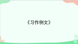 统编版语文五年级上册 《习作例文》课件