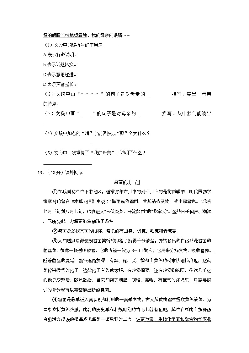 2023-2024学年辽宁省沈阳市法库县五年级上学期期中语文试卷(含答案)第3页