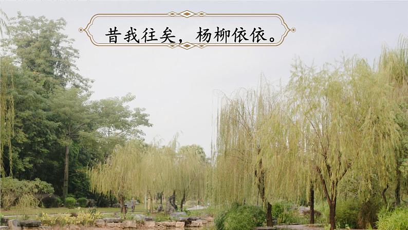 部编版语文六年级下册 古诗词诵读 8 卜算子•送鲍浩然之浙东 教学课件+视频素材01