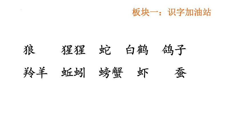 统编版语文二年级上册语文园地八(课件)03