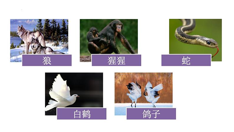 统编版语文二年级上册语文园地八(课件)04