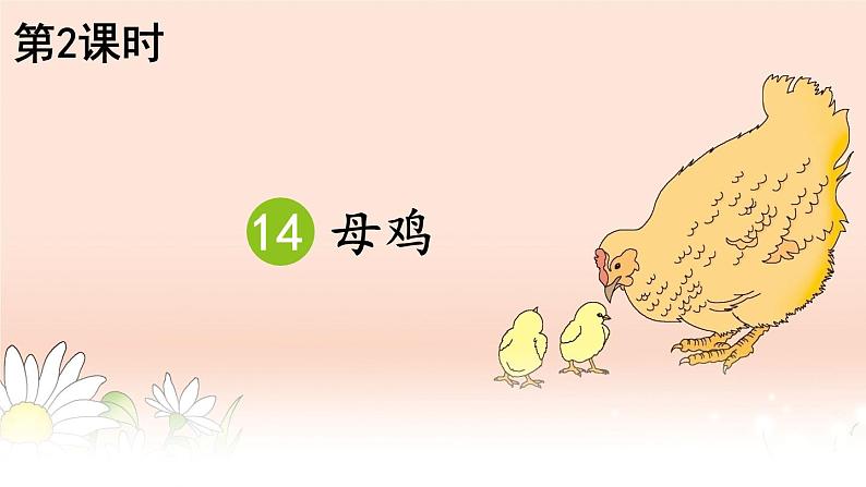 部编版语文四年级下册 14 母鸡(第二课时) 课件第1页