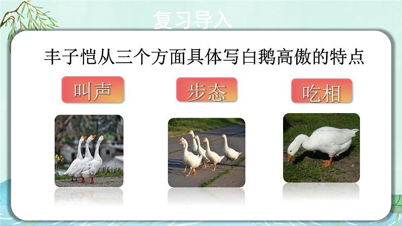 部编版语文四年级下册 15 白鹅(第二课时) 课件第2页