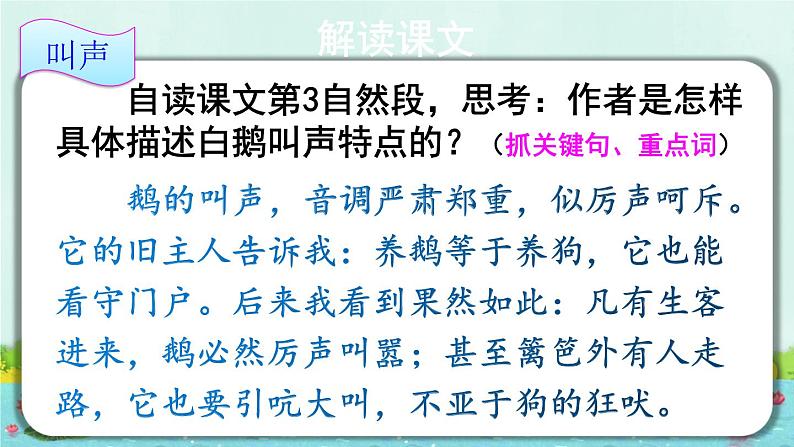 部编版语文四年级下册 15 白鹅(第二课时) 课件第4页