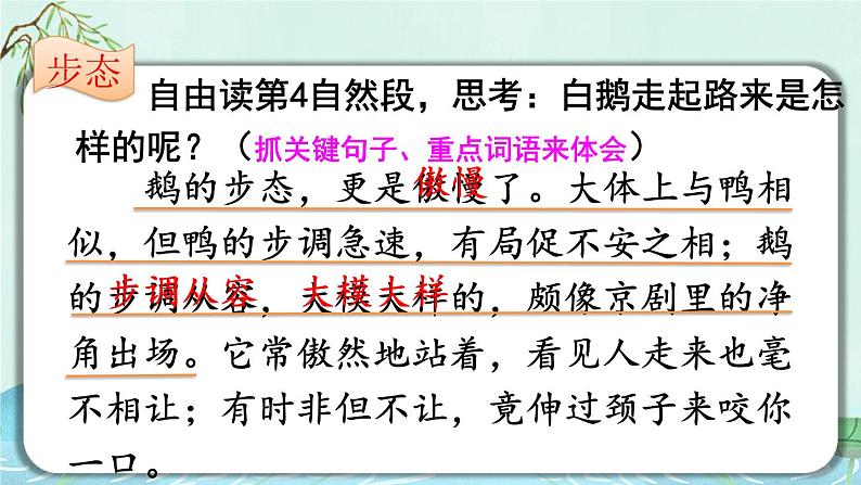 部编版语文四年级下册 15 白鹅(第二课时) 课件第8页