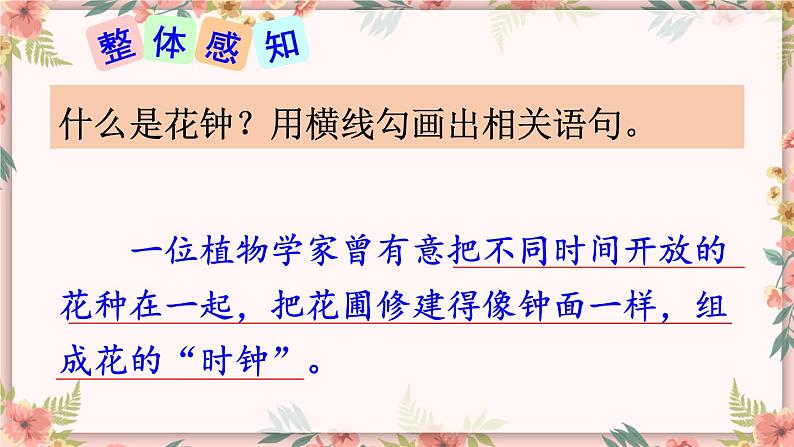 部编版语文三年级下册 13 花钟(第一课时) 课件第8页