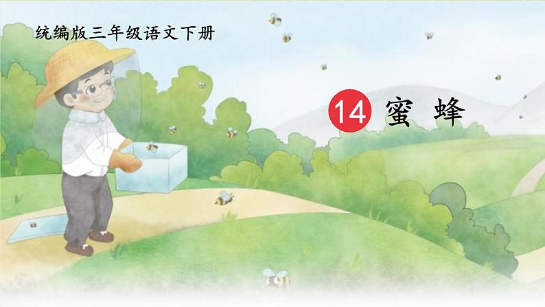 部编版语文三年级下册 14 蜜蜂(第一课时) 课件01