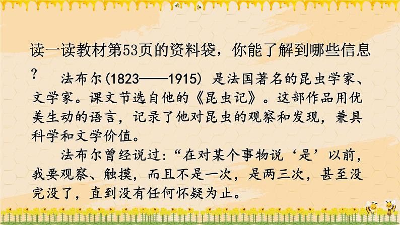 部编版语文三年级下册 14 蜜蜂(第一课时) 课件05