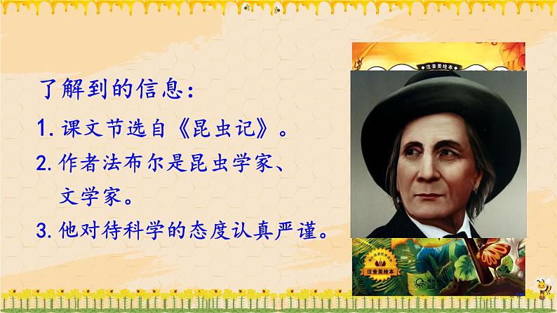 部编版语文三年级下册 14 蜜蜂(第一课时) 课件06