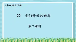 部编版语文三年级下册 22 我们奇妙的世界（第二课时） 课件