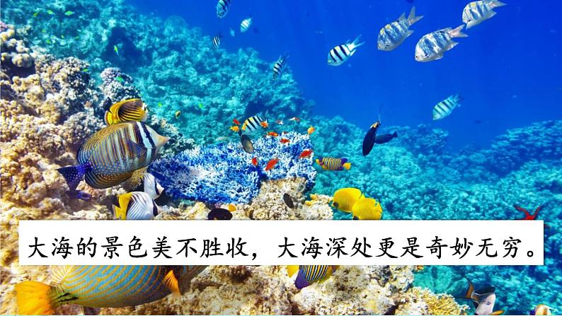 部编版语文三年级下册 23 海底世界(第一课时) 课件02