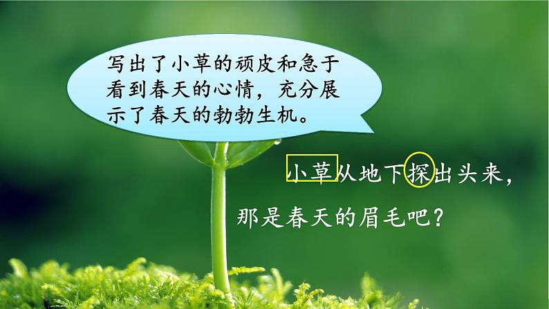 部编版语文二年级下册 2 找春天(第二课时) 课件第4页