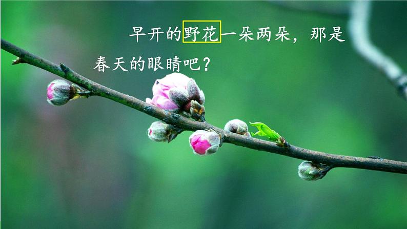 部编版语文二年级下册 2 找春天(第二课时) 课件第5页