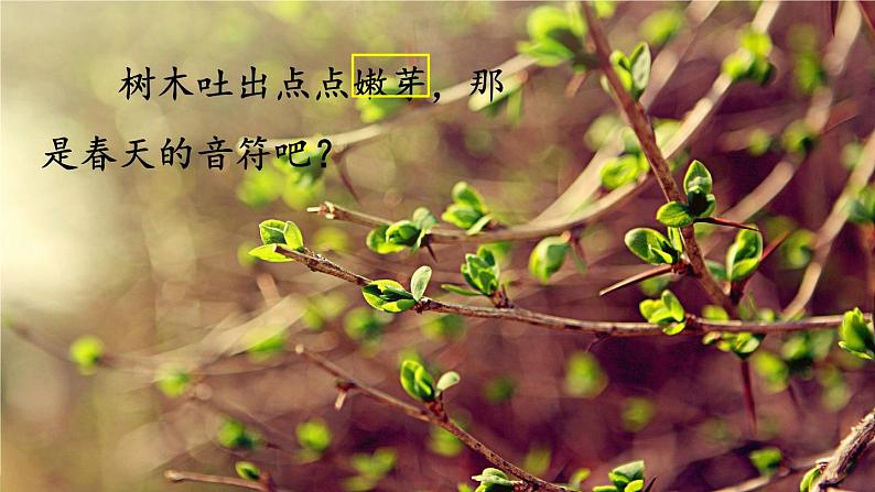 部编版语文二年级下册 2 找春天(第二课时) 课件第6页
