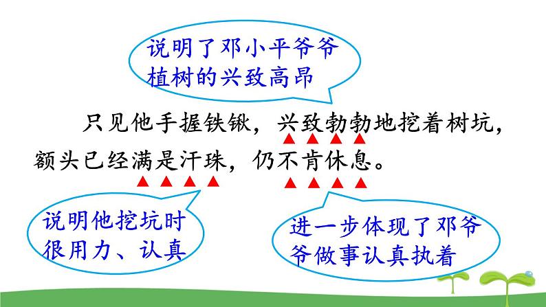 部编版语文二年级下册 4 邓小平爷爷植树(第二课时) 课件第6页