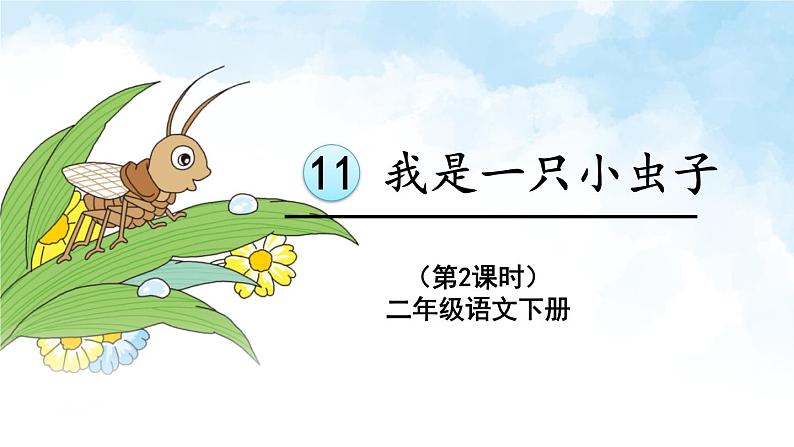 部编版语文二年级下册 11 我是一只小虫子(第二课时) 课件第1页